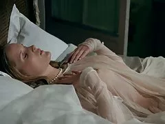 بوی شیرین رز