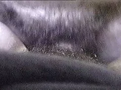 بیشتر به تماشای