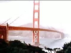 محصول آمریکا