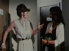 چگونه او را به شوهر ایده آل