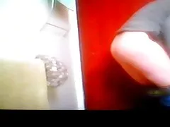 بانوی لین ll