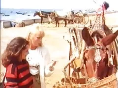 کلاسیک آلمانی