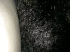 بزرگ بوش ماری