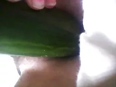 همسر بیدمشک مودار