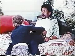 گربه وحشی پشمالو مو کوتاه با پلنگ سیاه