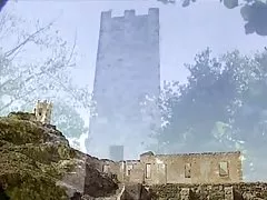 ادویه های گرمسیری