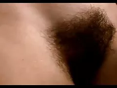 خانه دار مودار