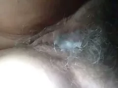 گربه های درهم و برهم