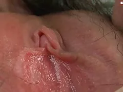 مودار انفرادی آسیایی پیمانکاری و مرطوب