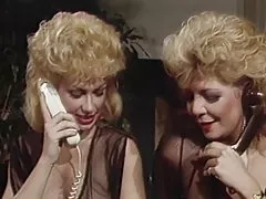 من می خواهم به دانستن بیشتر در مورد pussys