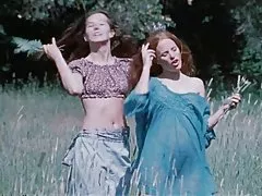 جنگل های کثیف