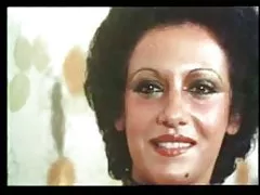 گربه وحشی پشمالو رایگان!