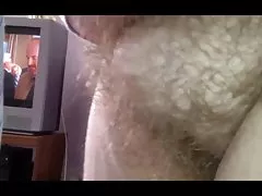 بیدمشک مودار Wifes کنار صورتم