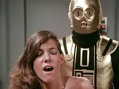 شما به عنوان گفت: فرمانده!